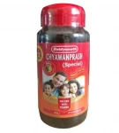 Чаванпраш Спешл, Бад'янатх (Chyawanprash Special, Baidyanath) 500 гр 