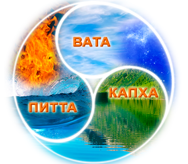 Как работают доши?